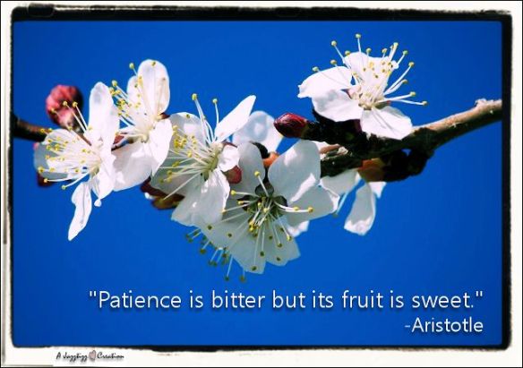 2.43 Patience fruit bitter sweet Aristotle