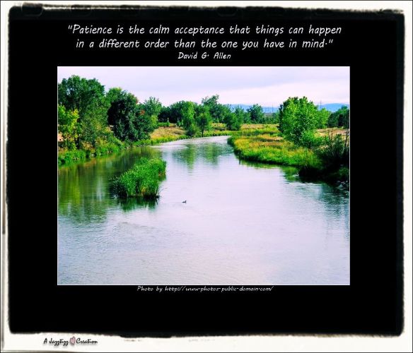 Gems 2.38 Patience David G.Allen Duck Pond