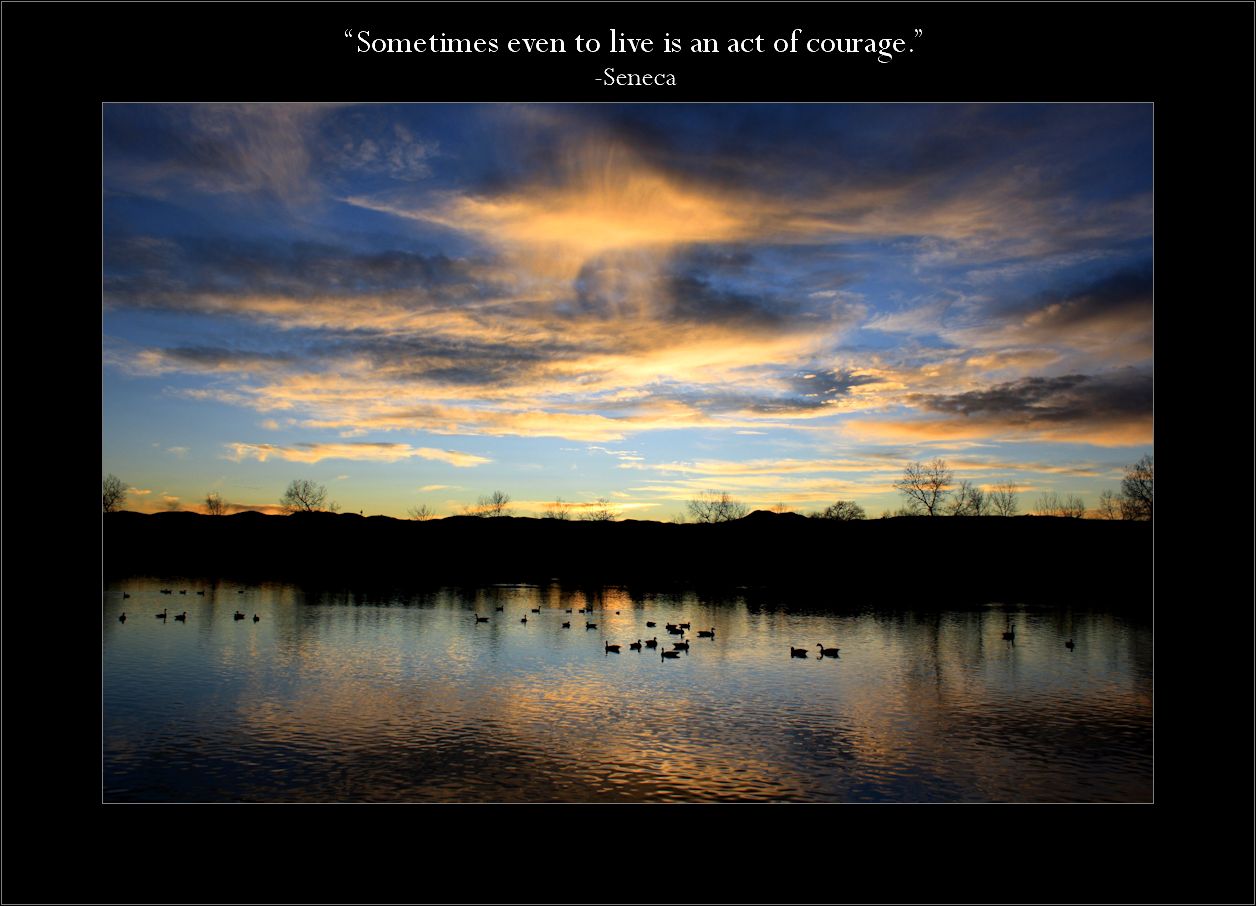Gems 2.39 Seneca courage patience perseverance live sunset lake geese
