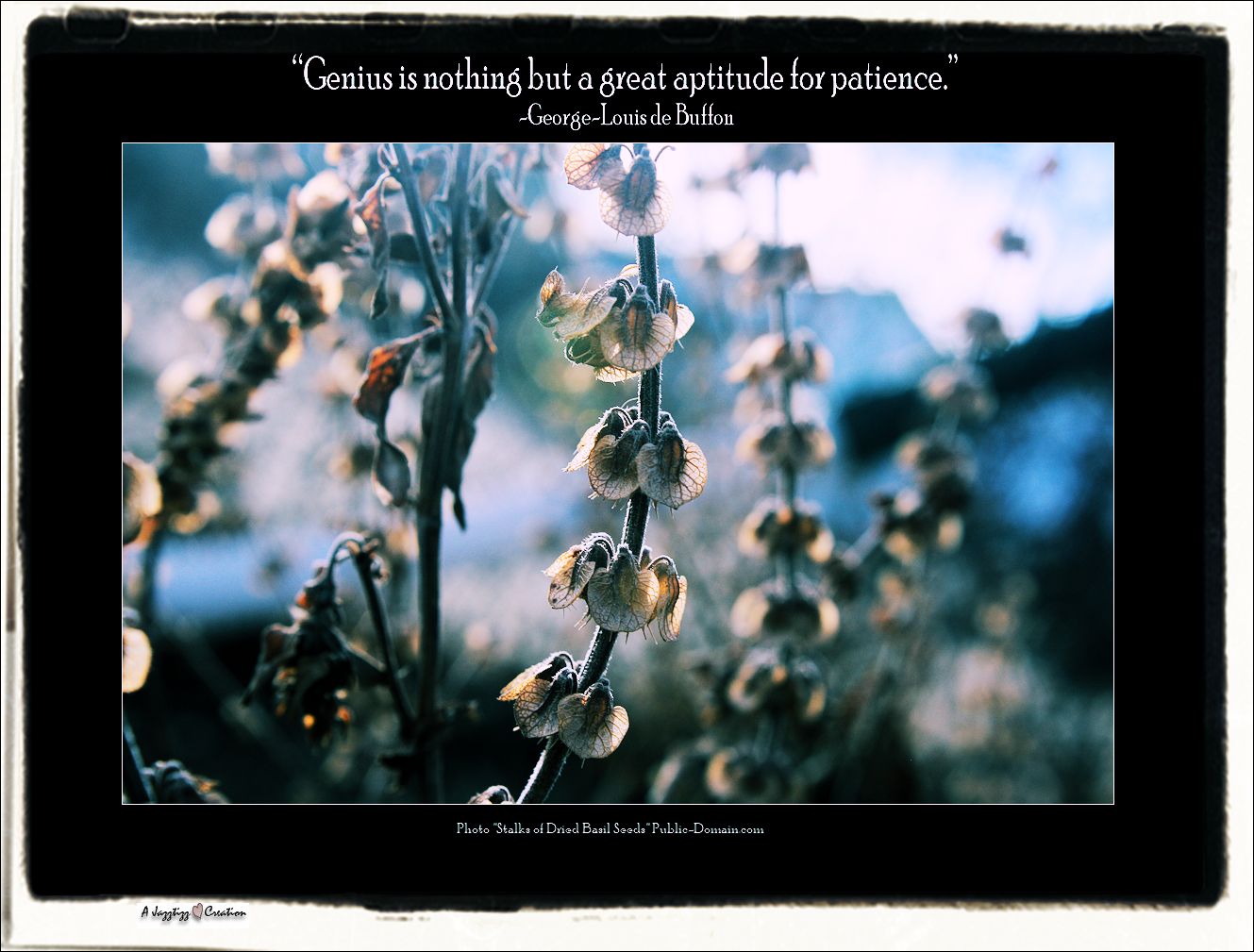 Gems 2.41 Patience Genius George-Louis de Buffon