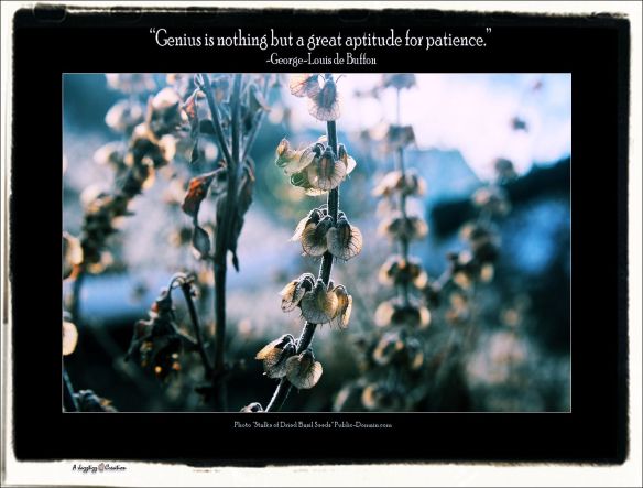 Gems 2.41 Patience Genius George-Louis de Buffon