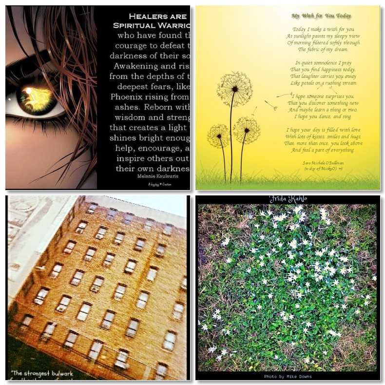 this-week-under1000skies