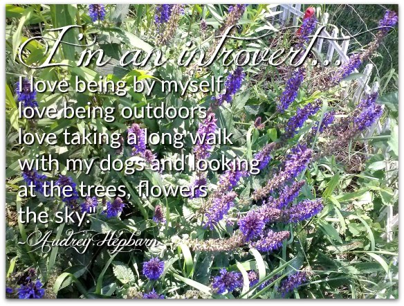 Flower Aubrey Hepburn Diana's Flowers