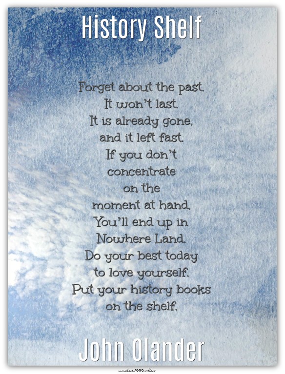 History Shelf John Olander Blue Denim Skies Niki Flow