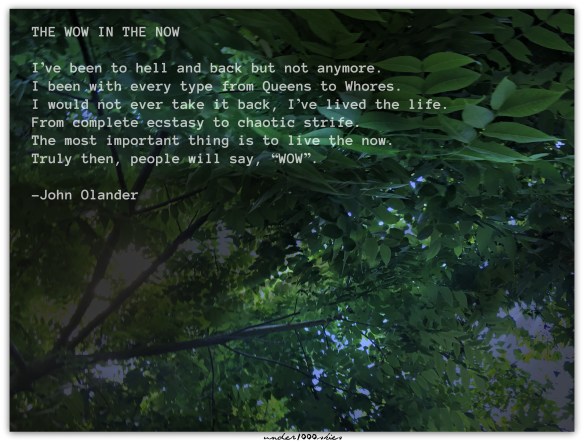 John Olander Wow In Now Gems 362