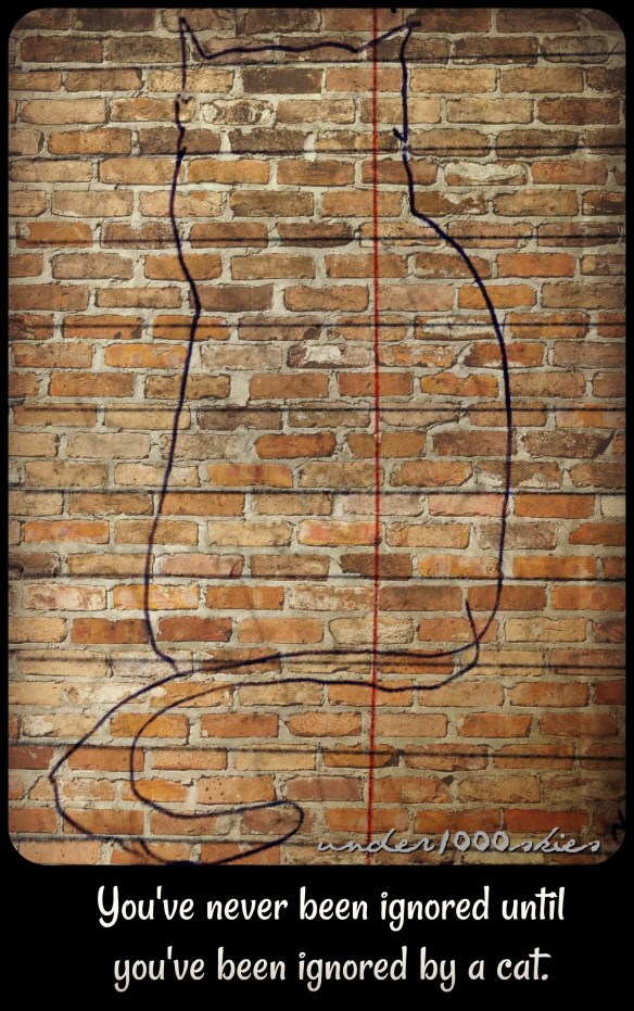 kitty ink ignored under1000skies gems 3 5 1