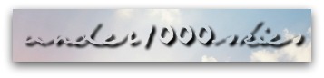 under1000skies logo 1