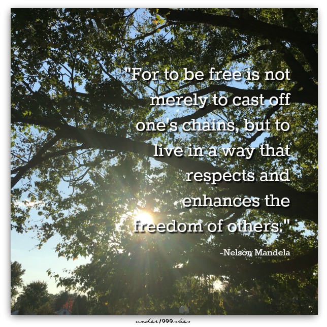 Gems 379 Nelson Mandela Freedom Respect