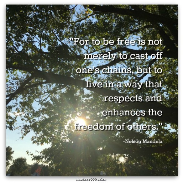 Gems 379 Nelson Mandela Freedom Respect