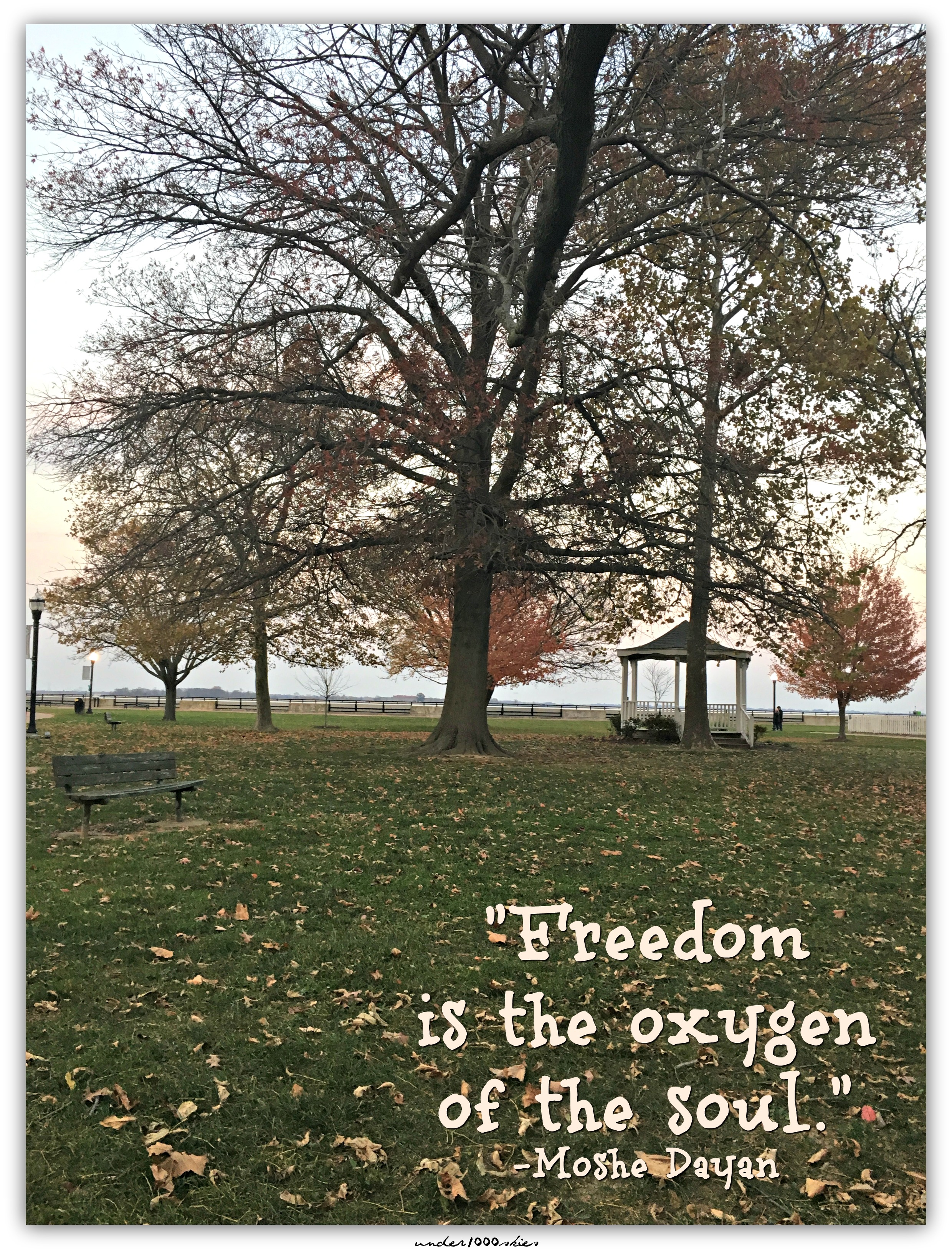 Gems 382 Freedom Moshe Dayan