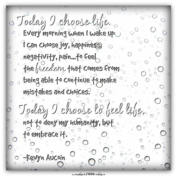 Life Freedom Choice Kevyn Aucoin Gems 372