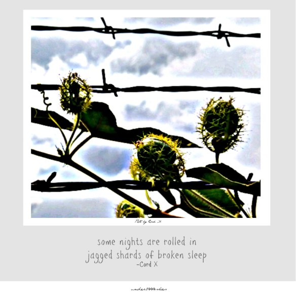 4.13 under1000skies 17jan2018