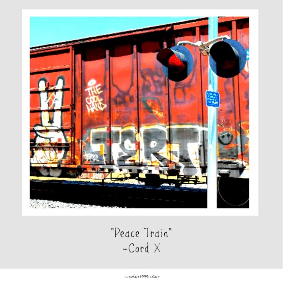 4.14 1000skies Cord X Peace Train