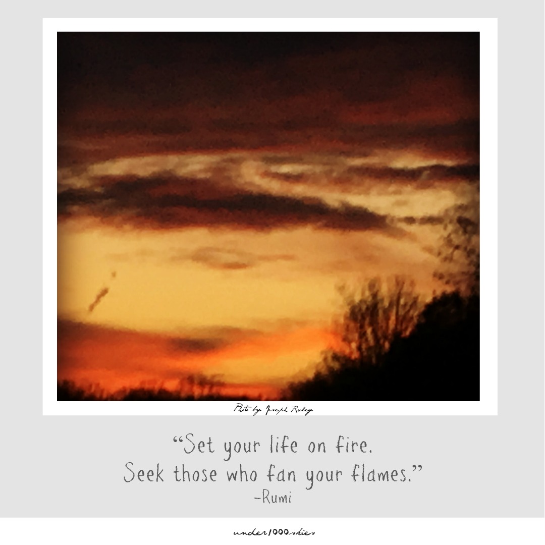 4.61 under1000skies 2