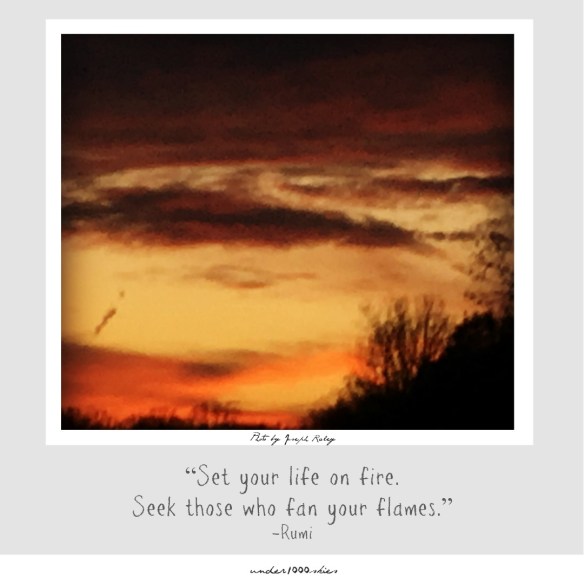 4.61 under1000skies 2