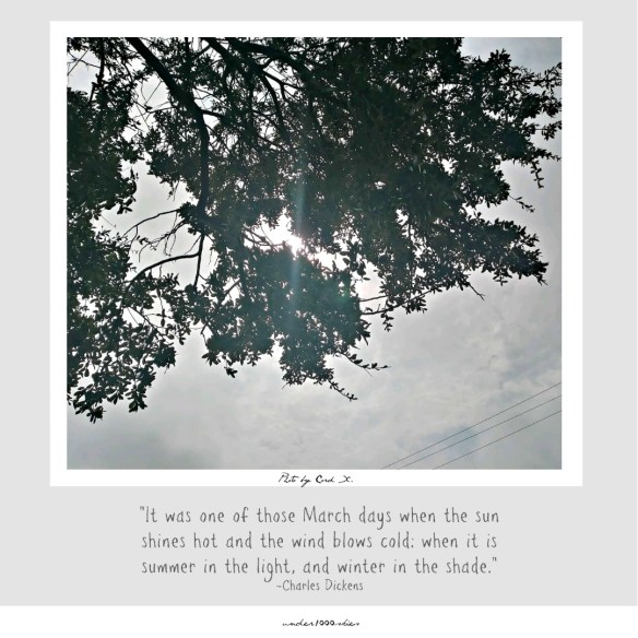 Gems 4.44 under1000skies