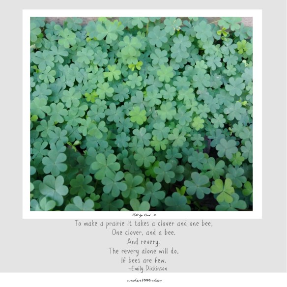 Gems 4.45 under1000skies