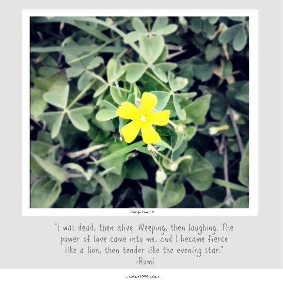 GEMS 4.46 under1000skies