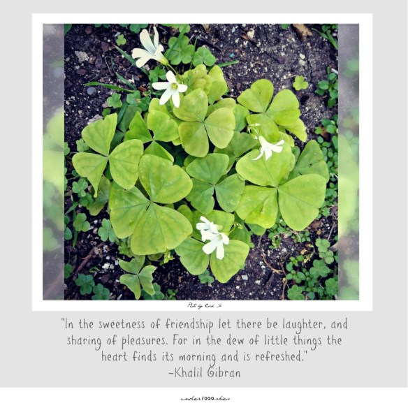 Gems 4.48 under1000skies