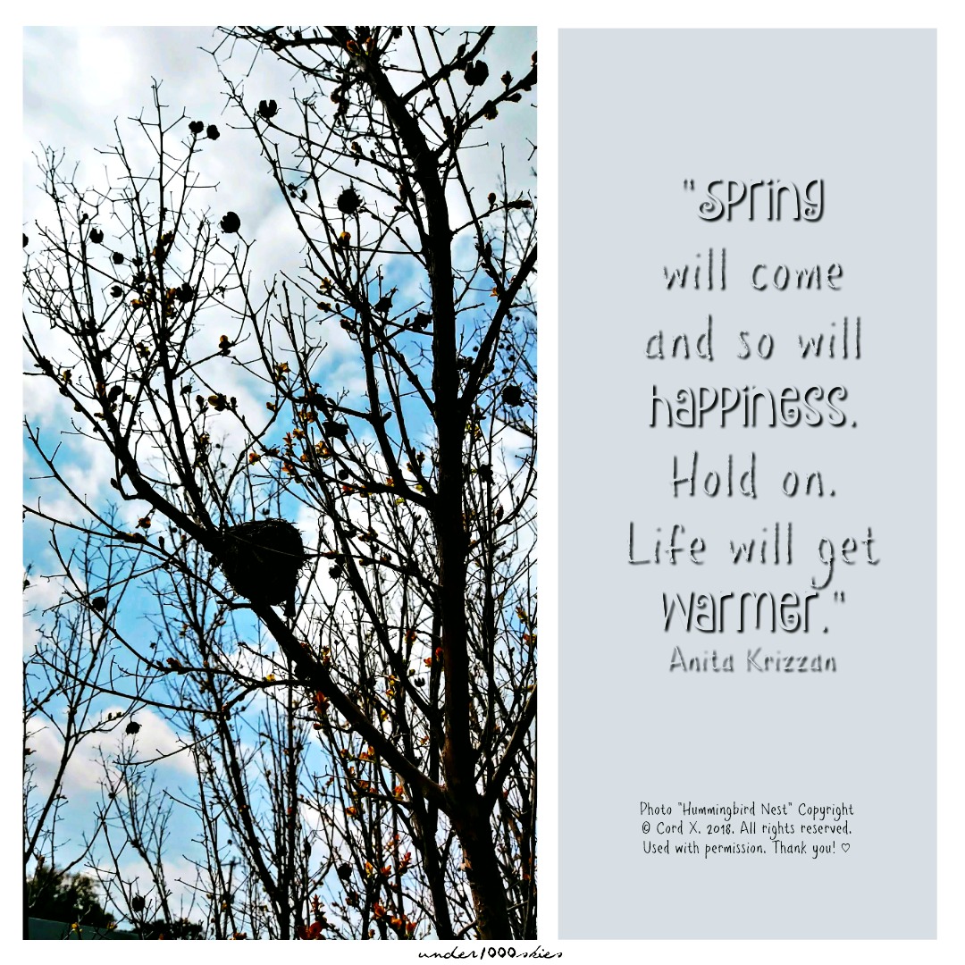 Gems 4.53 under1000skies