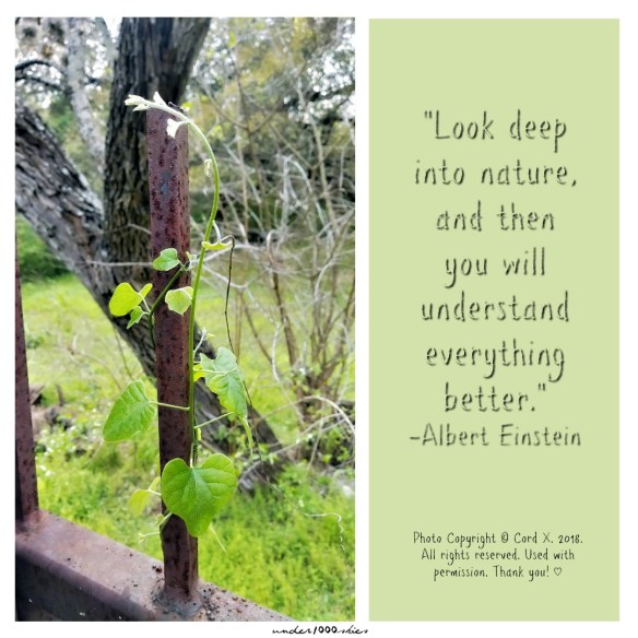 Gems 4.55 under1000skies