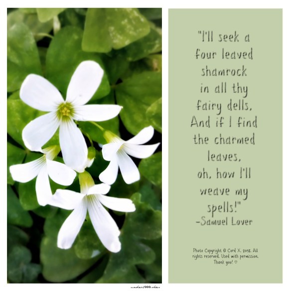 Gems 4.59 under1000skies