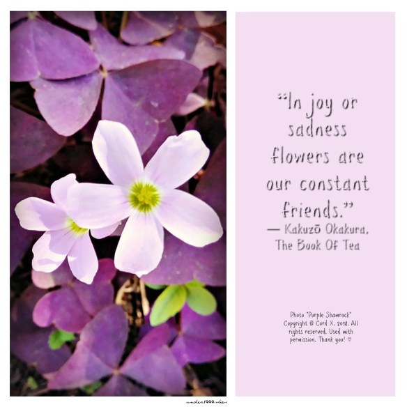 Gems 4.60 under1000skies