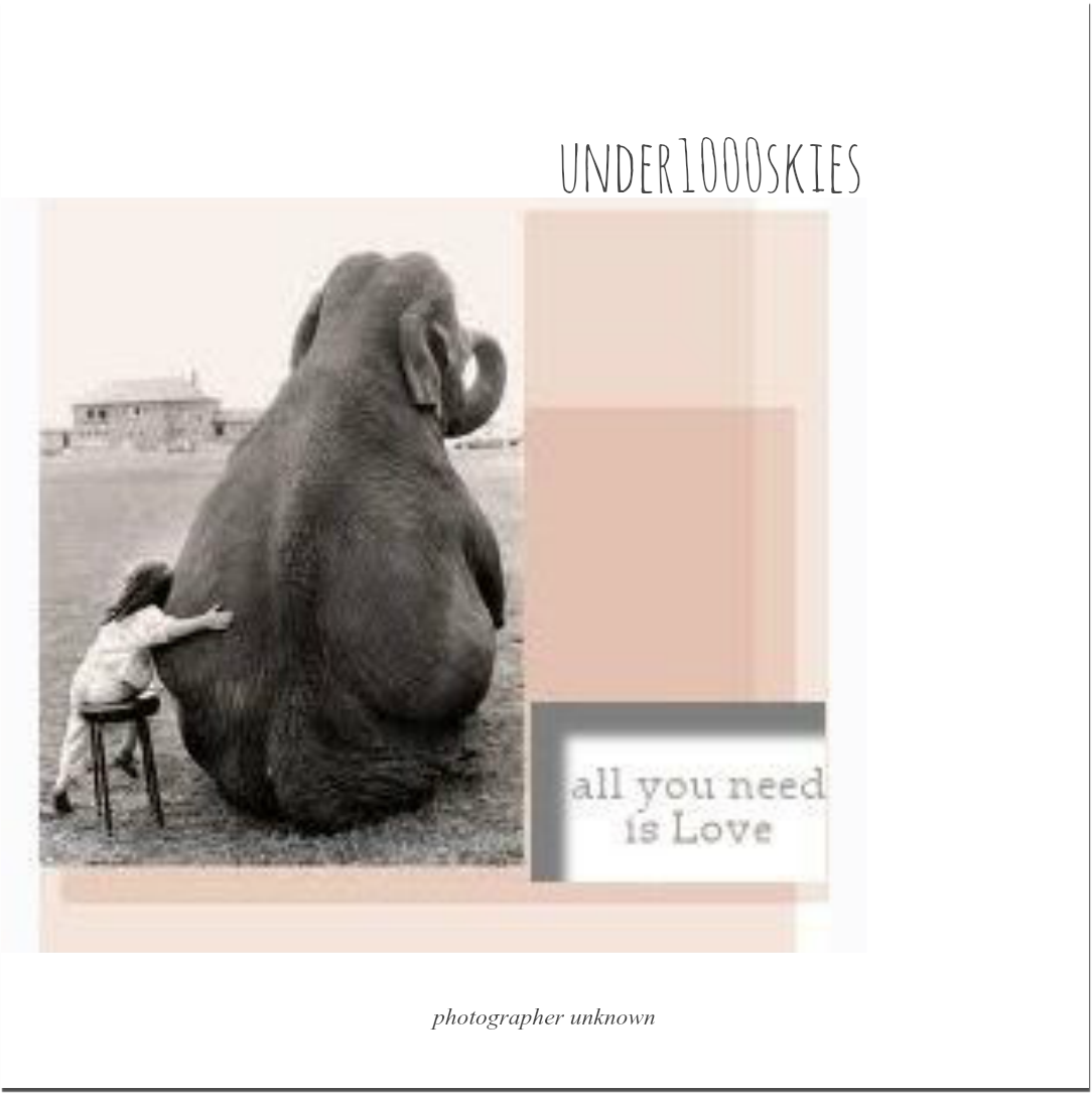 4.85 johnpaulgeorgeringo love love love