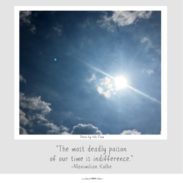 Gems 4.81 Maximilian Kolbe