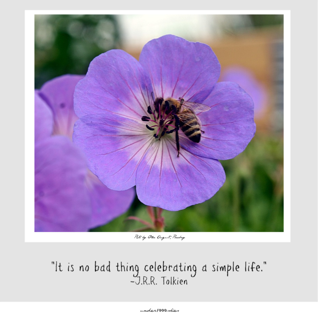 5.79 bee tolkien olleaugust