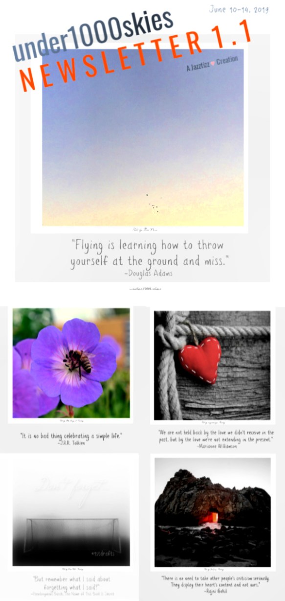 under1000skies newsletter 1