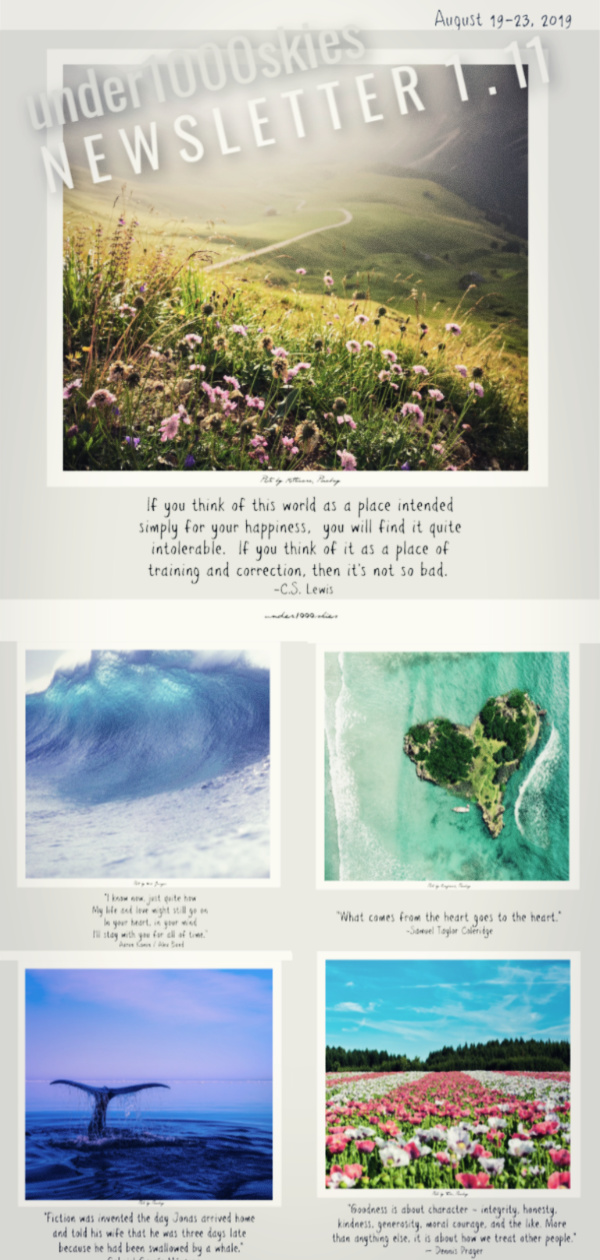 under1000skies Newsletter 1.11 (1)