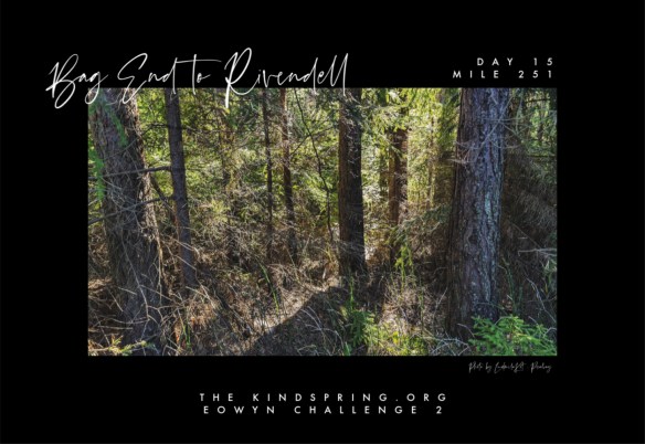 BETR-FRODO Day 15 Mile 251