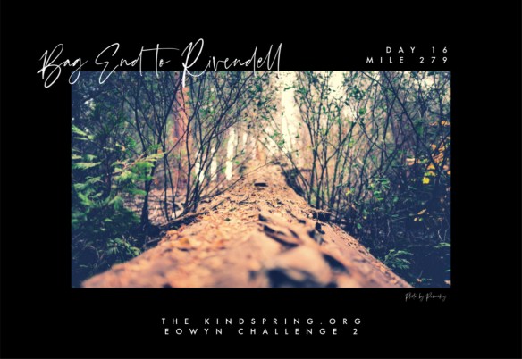 BETR-FRODO Day 16 Mile 279