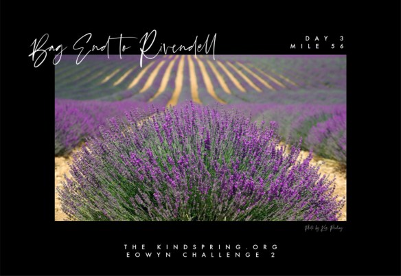 BETR-FRODO Day 3 Mile 56