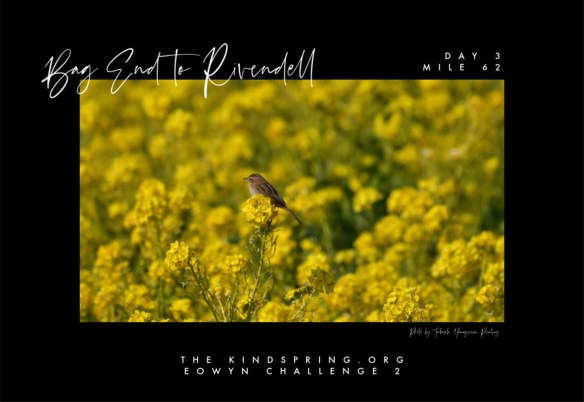 BETR-FRODO Day 3 Mile 62