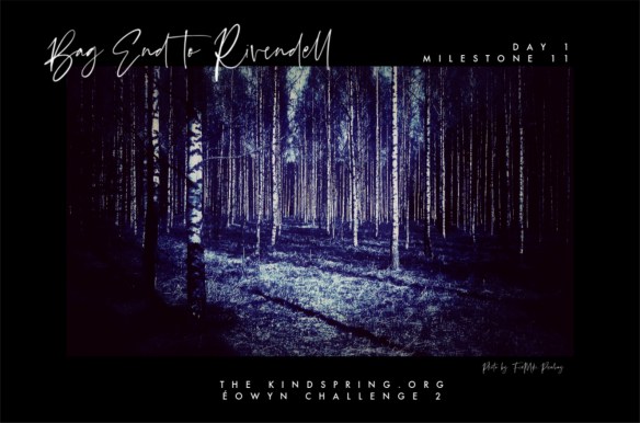 BETR-FRODO day1 milestone11