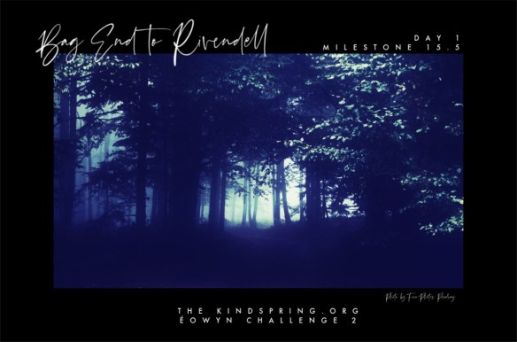 BETR-FRODO day1 milestone15.5