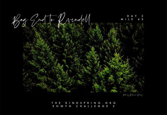 BETR-FRODO Day2 Mile 45d