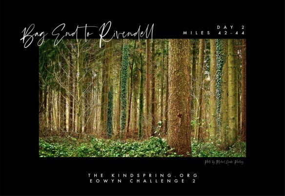 BETR-FRODO  Day2 Miles 42-44d.jpg