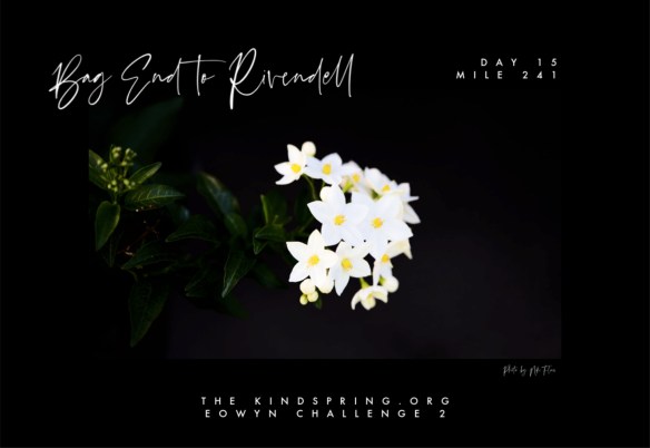 BETR-FRODO title page copy