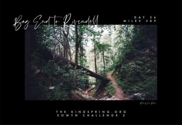 BETR-FRODO Day 26 Mile 389 Photo by Free-Photos