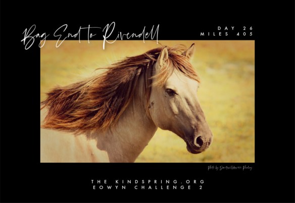 BETR-FRODO Day 26 Mile 405 Photo by WimdeGraaf, Pixabay