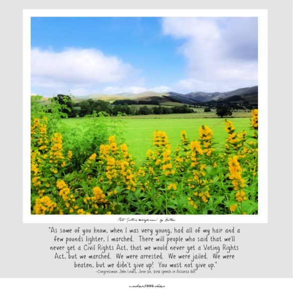 6.85 John Lewis Civil Rights photo by Hettie