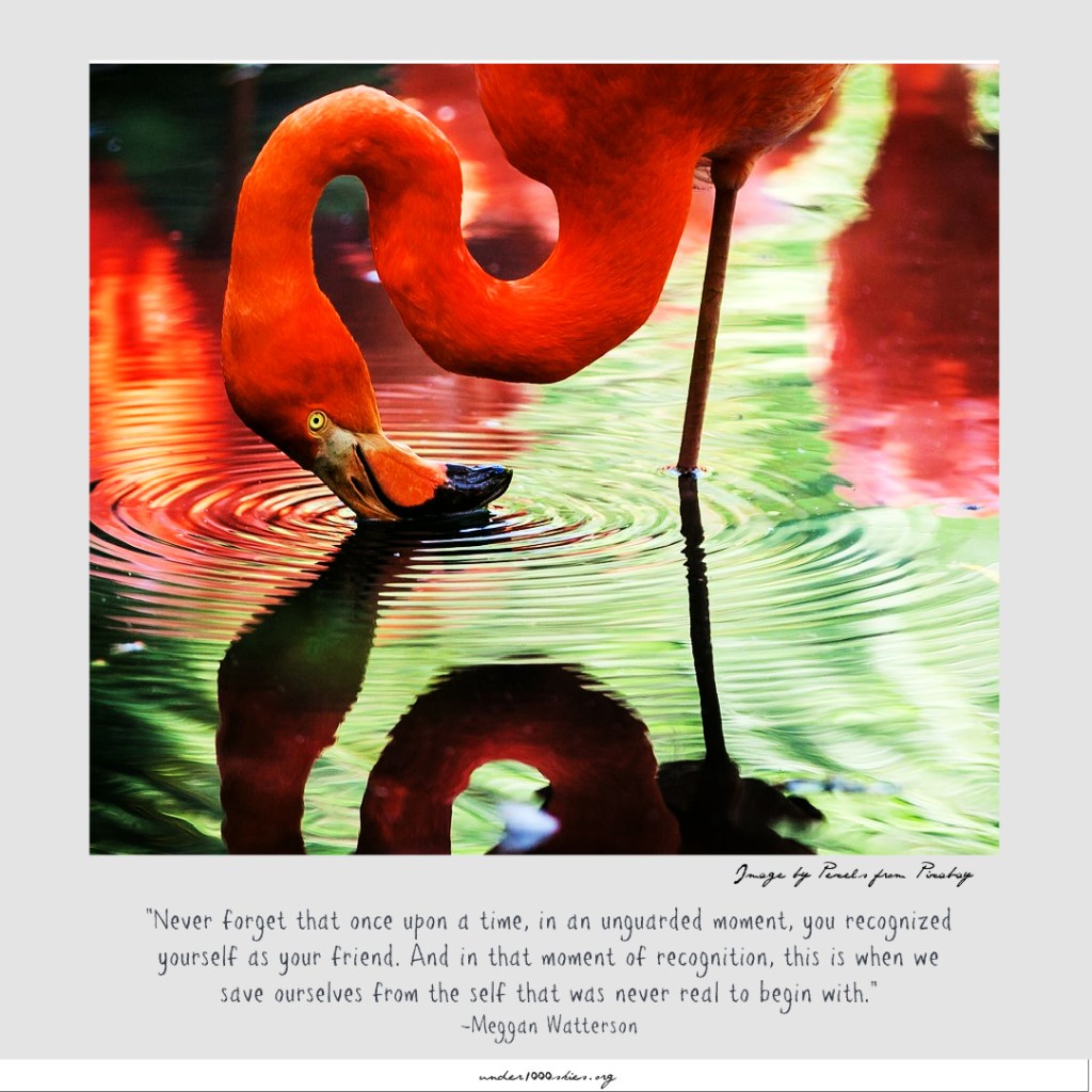 A vivid pink flamingo looks at her reflection in water which ripples out in an perfect set of circles around her beak. Words read, "“Never forget that once upon a time, in an unguarded moment, you recognized yourself as your friend. And in that moment of recognition, this is when we save ourselves from the self that was never real to begin with.”